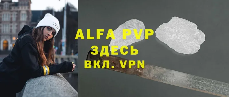 A PVP СК  Арсеньев 