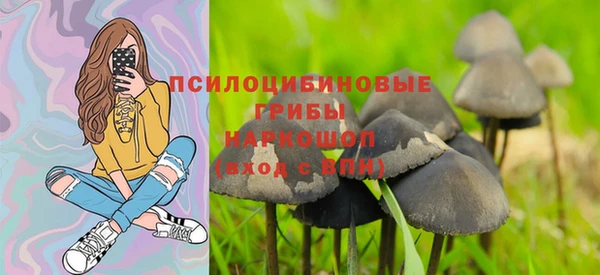 спиды Нефтекумск