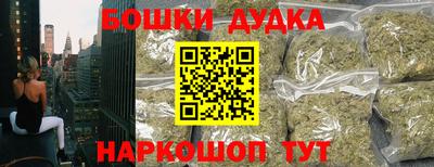 apvp Бийск
